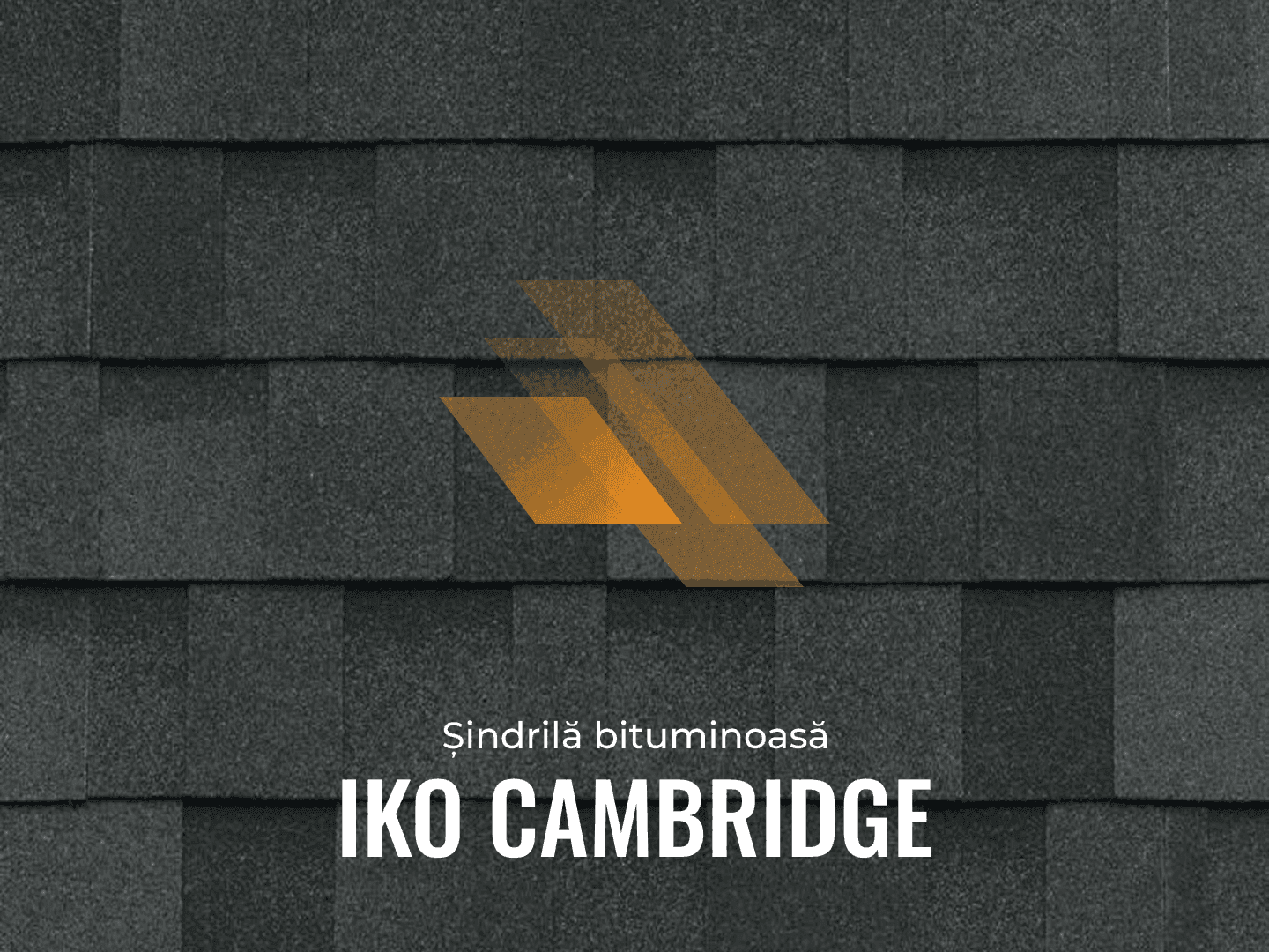 IKO Cambridge