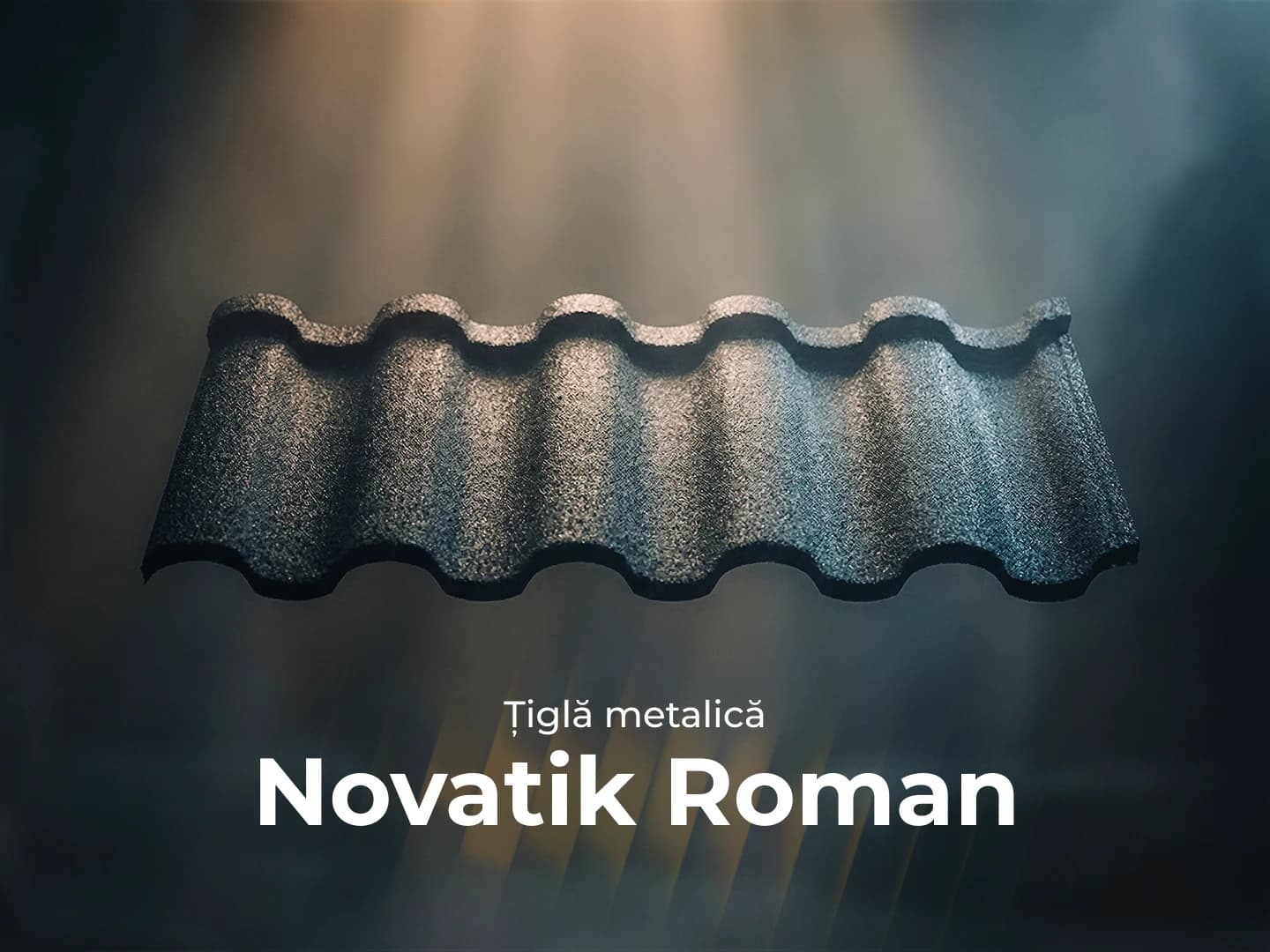 Novatik Roman